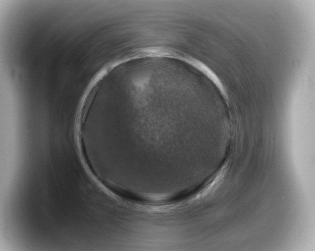 X0000099991381200805231444