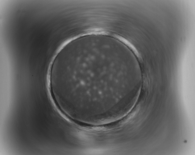 X0000099991383200805231444