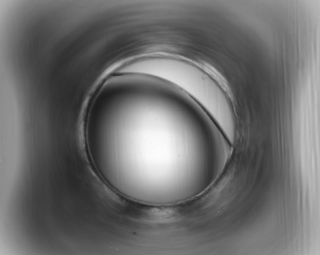 X0000099991384200805231444