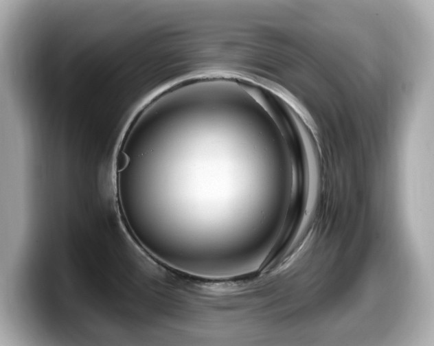 X0000099991388200805231444