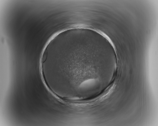X0000099991389200805231444