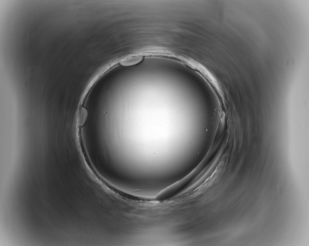 X0000099991390200805231444