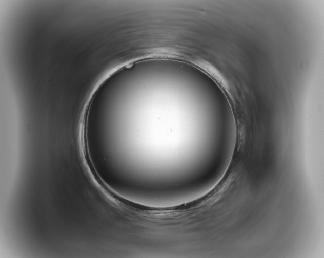 X0000099991391200805231444