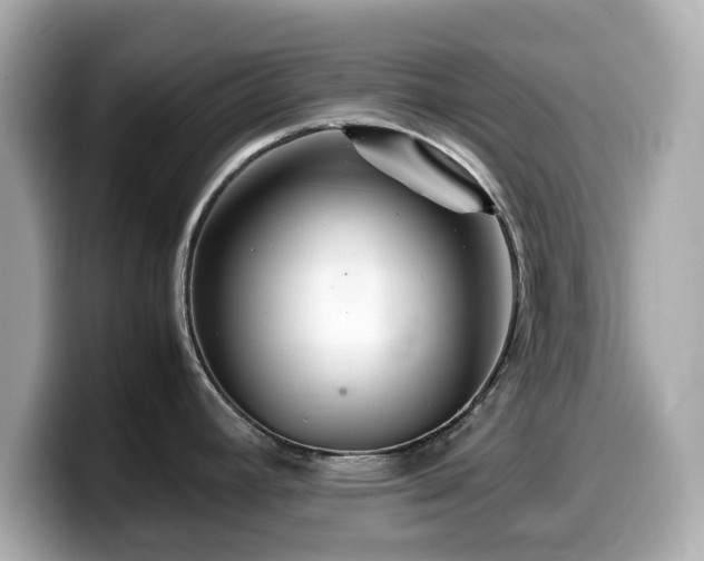 X0000099991392200805231444