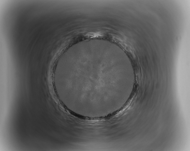 X0000099991393200805231443