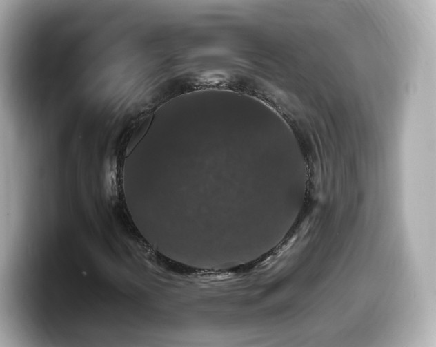 X0000099991394200805231443
