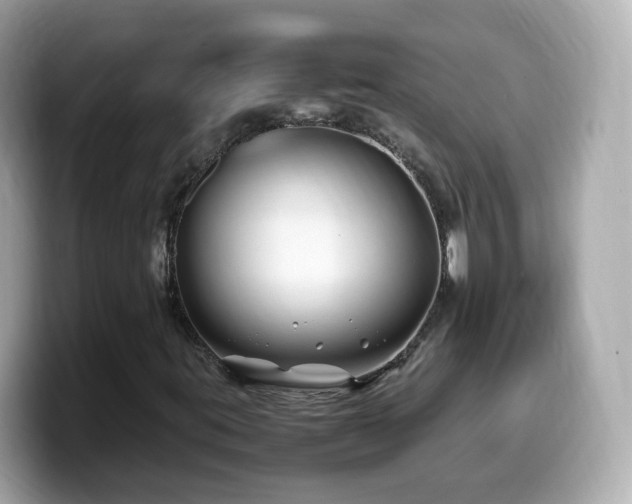 X0000099991395200805231443