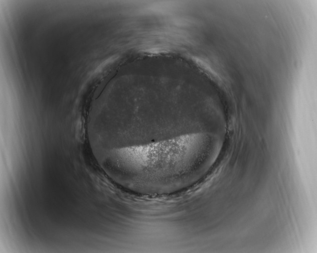 X0000099991398200805231443