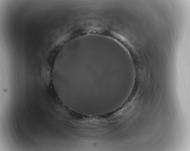 X0000099991399200805231443