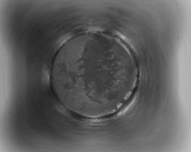 X0000099991401200805231443