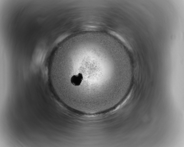 X0000099991402200805231443