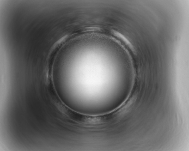 X0000099991403200805231443
