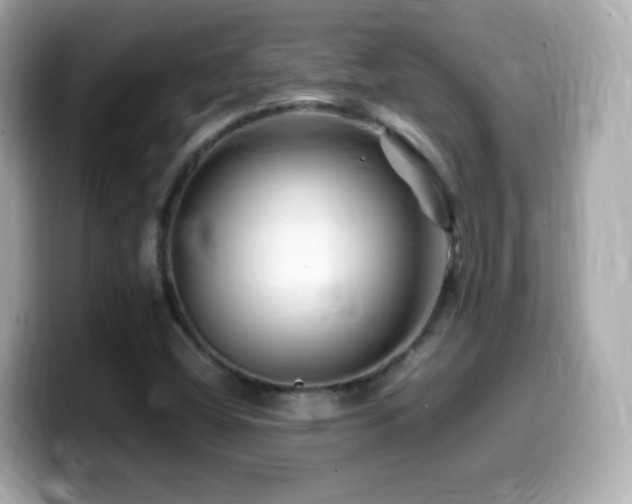 X0000099991404200805231443