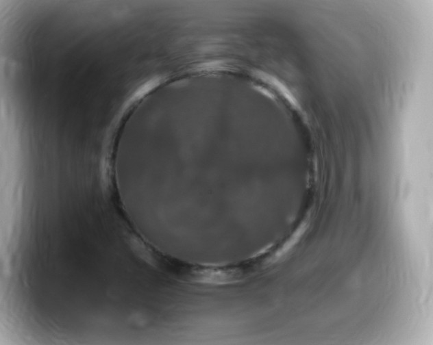 X0000099991405200805231443