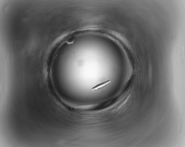 X0000099991406200805231443