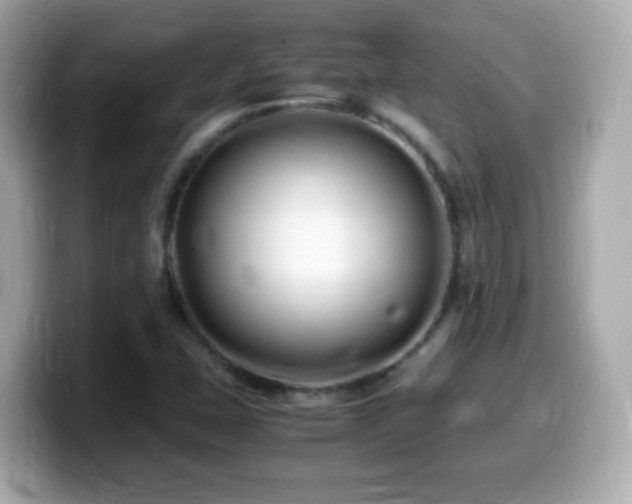 X0000099991407200805231443