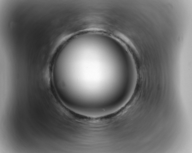 X0000099991408200805231443