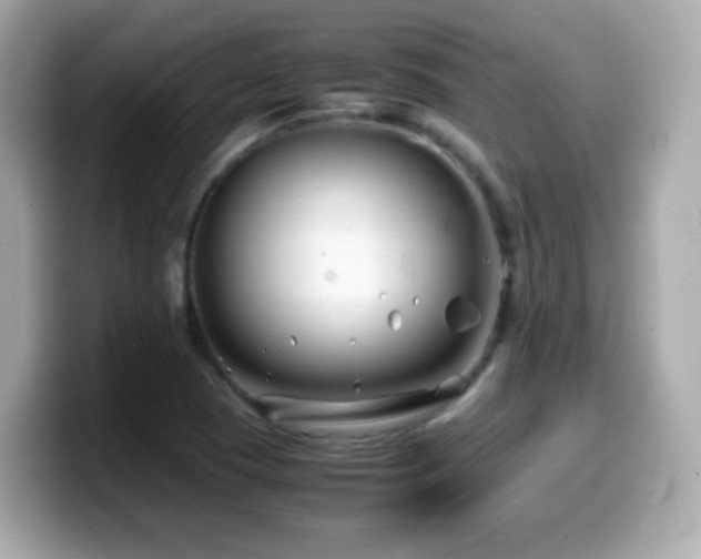 X0000099991409200805231443