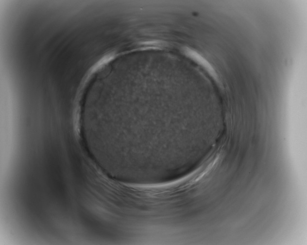 X0000099991411200805231443