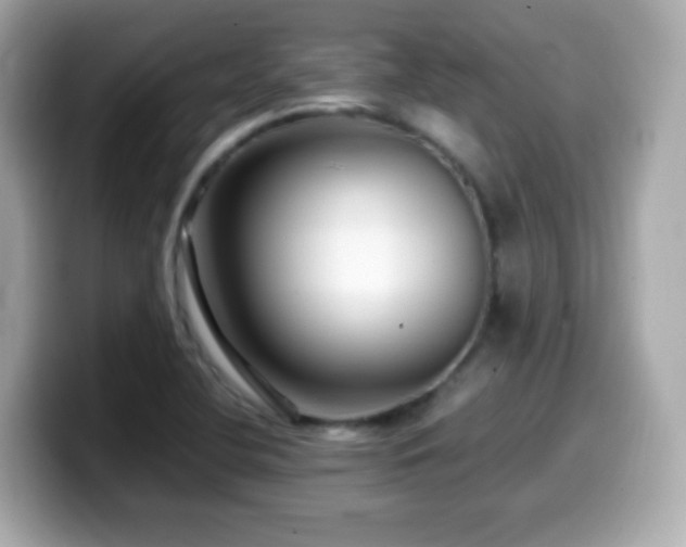 X0000099991412200805231443