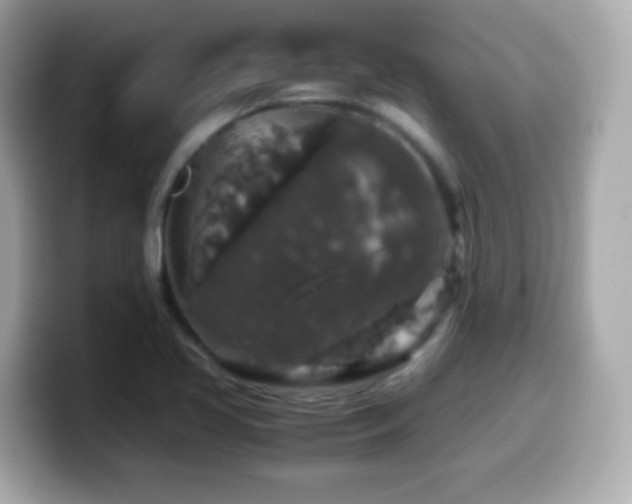 X0000099991413200805231443