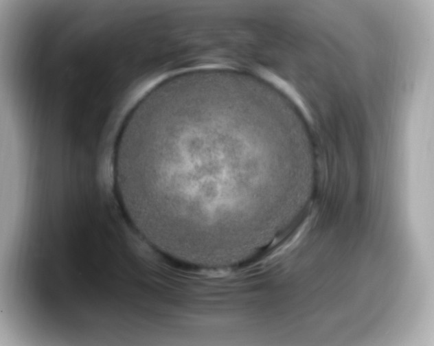 X0000099991415200805231443