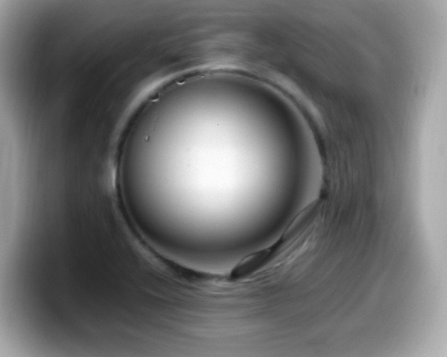 X0000099991416200805231443