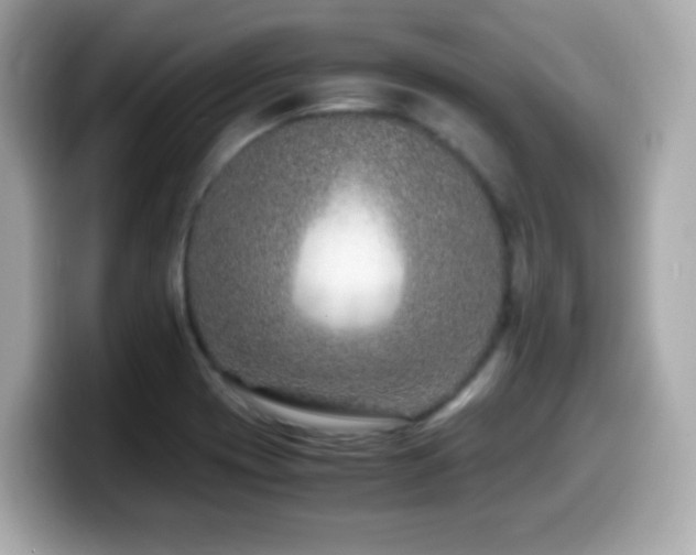 X0000099991417200805231443