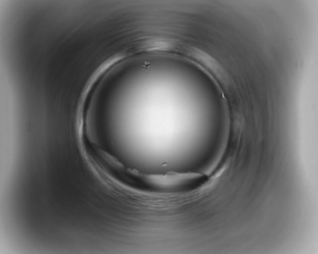 X0000099991418200805231443