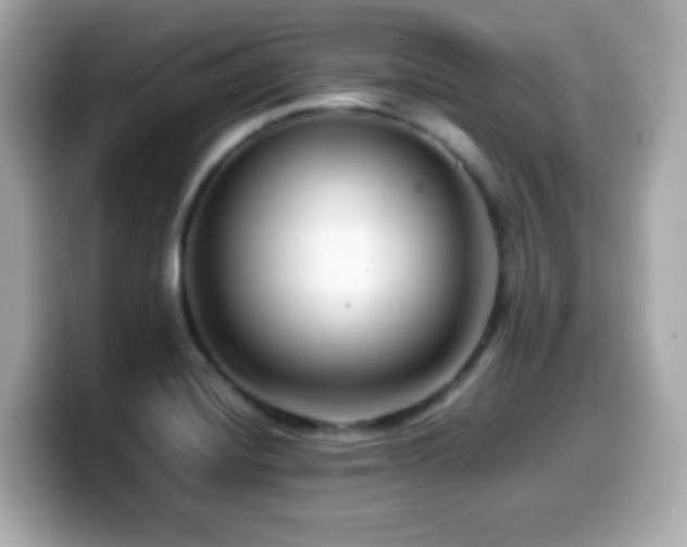 X0000099991420200805231443
