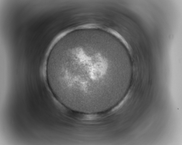 X0000099991421200805231443