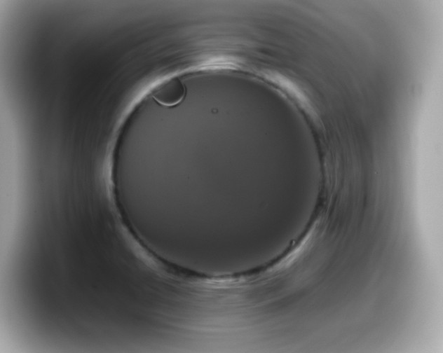 X0000099991422200805231443
