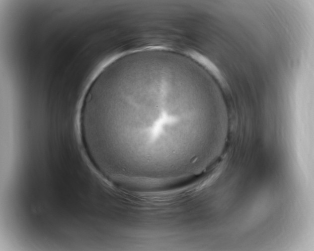 X0000099991423200805231443