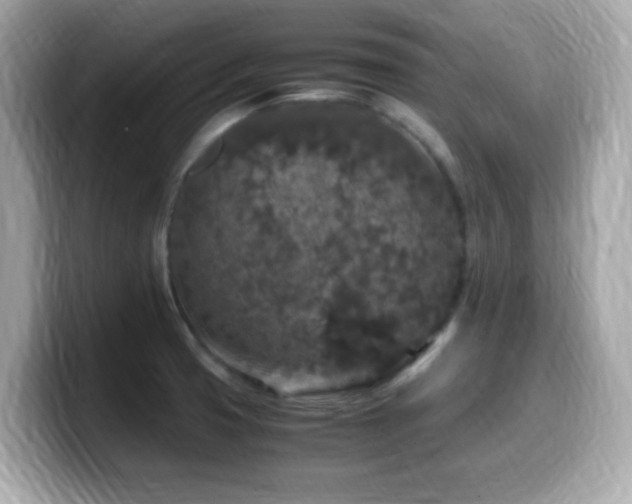X0000099991425200805231443