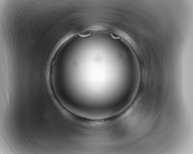 X0000099991426200805231443