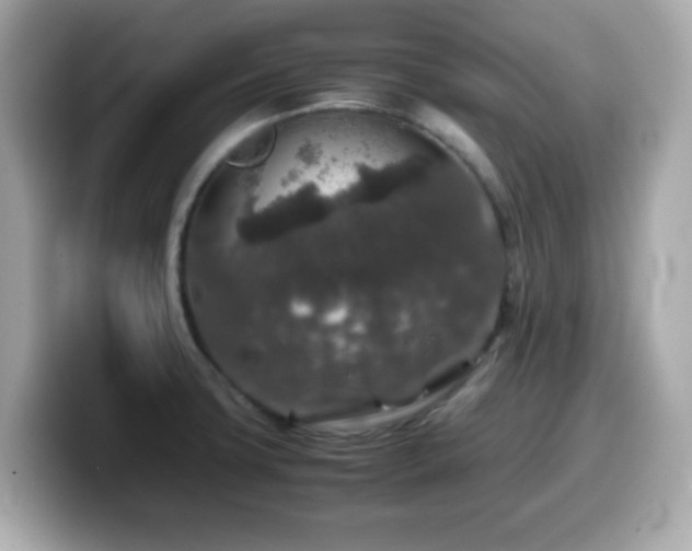 X0000099991427200805231443