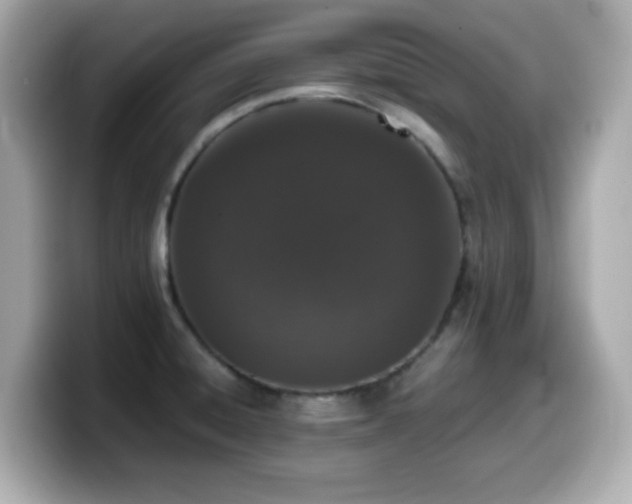 X0000099991428200805231443