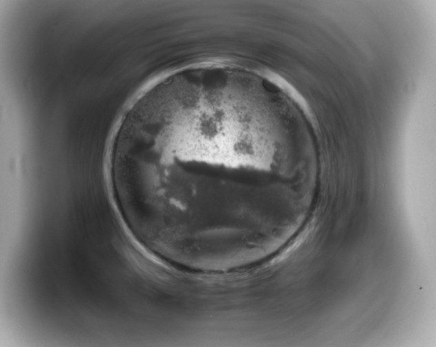 X0000099991429200805231443