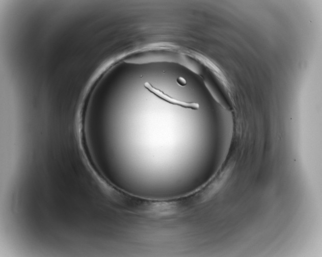 X0000099991430200805231443