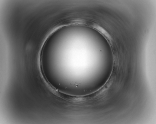 X0000099991431200805231443