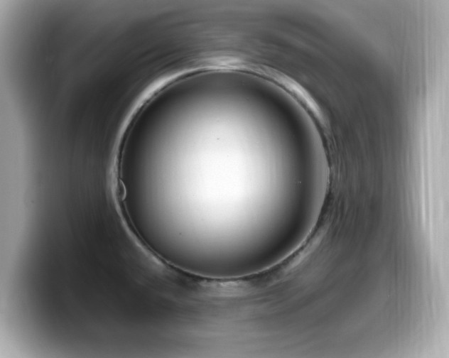 X0000099991432200805231443