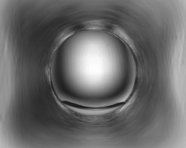 X0000099991433200805231443