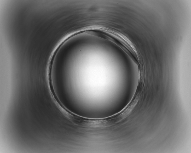X0000099991438200805231444