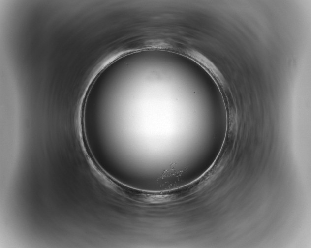 X0000099991439200805231444