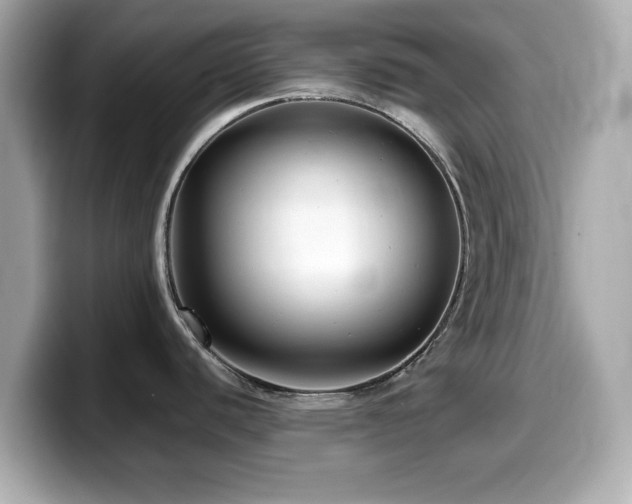 X0000099991440200805231444