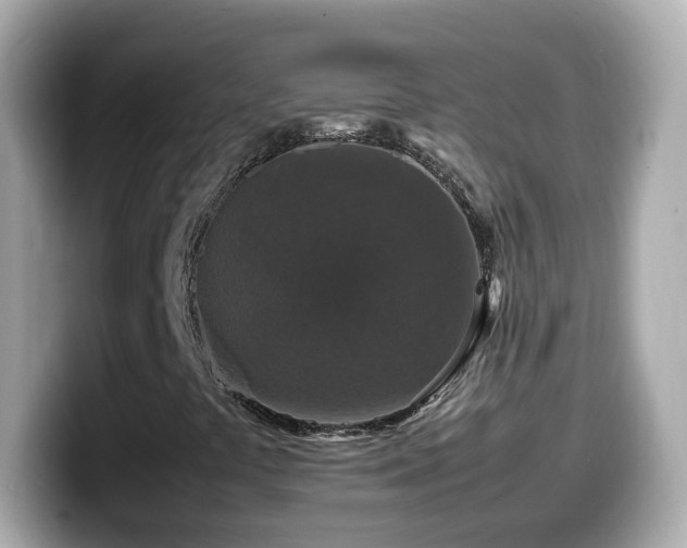 X0000099991441200805231443