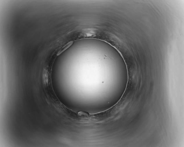 X0000099991442200805231443