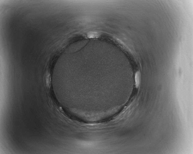 X0000099991443200805231443