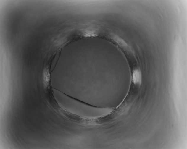 X0000099991444200805231443