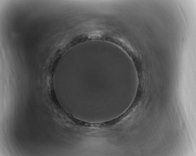 X0000099991445200805231443